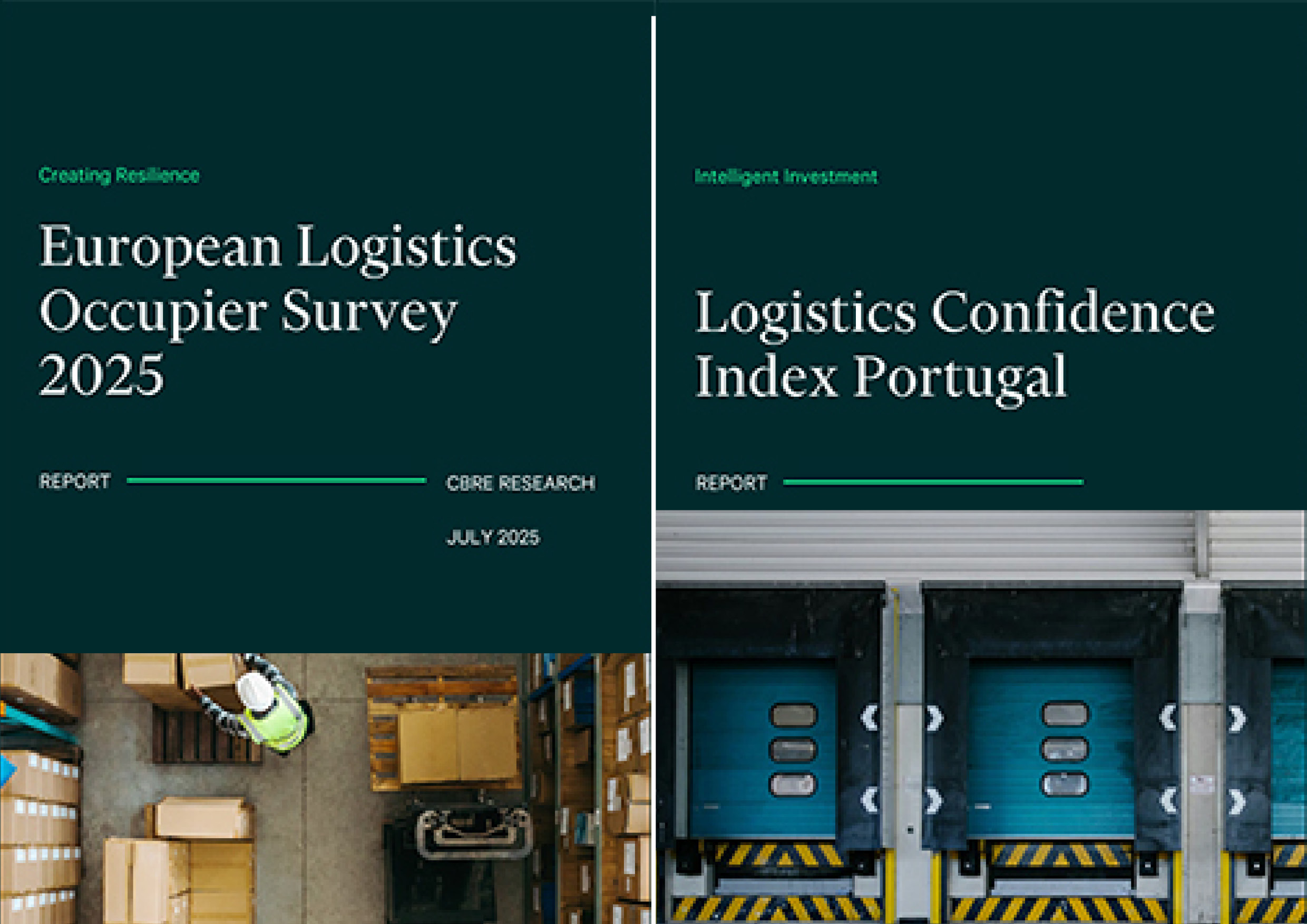 view the latest insight